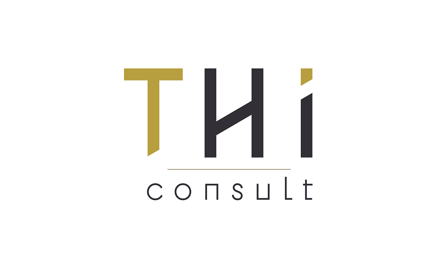 Graphic Plugin, agence de communication à Liège : Projet : Identité graphique pour THI Consult